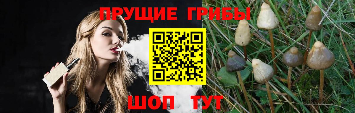 где продают   Галлюциногенные грибы ЛСД  Вход с VPN  Соликамск 
